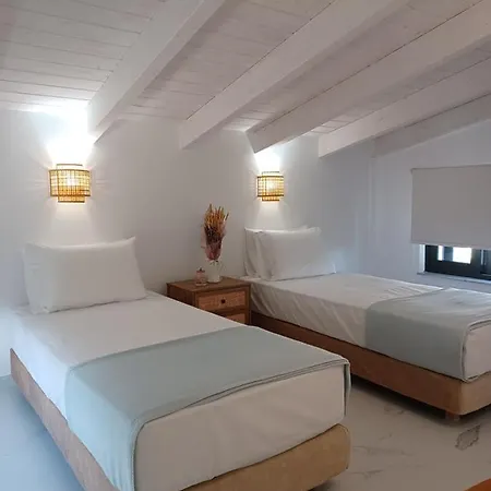 Iriana Seaside Luxury Penthouse * Νικιάνα